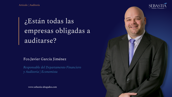 Autor del artículo "¿Qué empresas están obligadas a auditarse?"